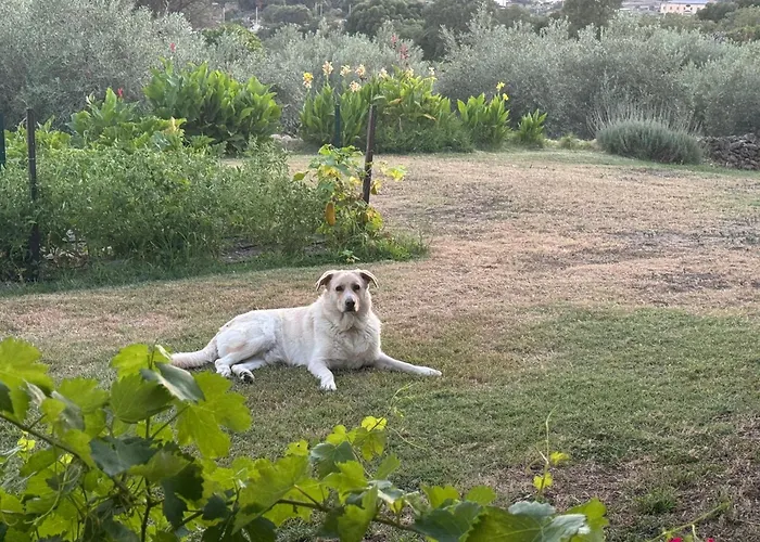 La Recuera Vakantiehuis Montánchez